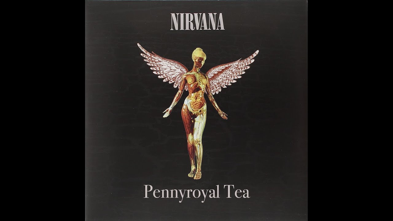 Nirvana Pennyroyal Tea guitar backing track with Vocals