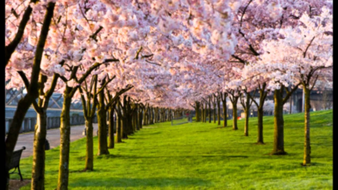 Kéne már egy új tavasz