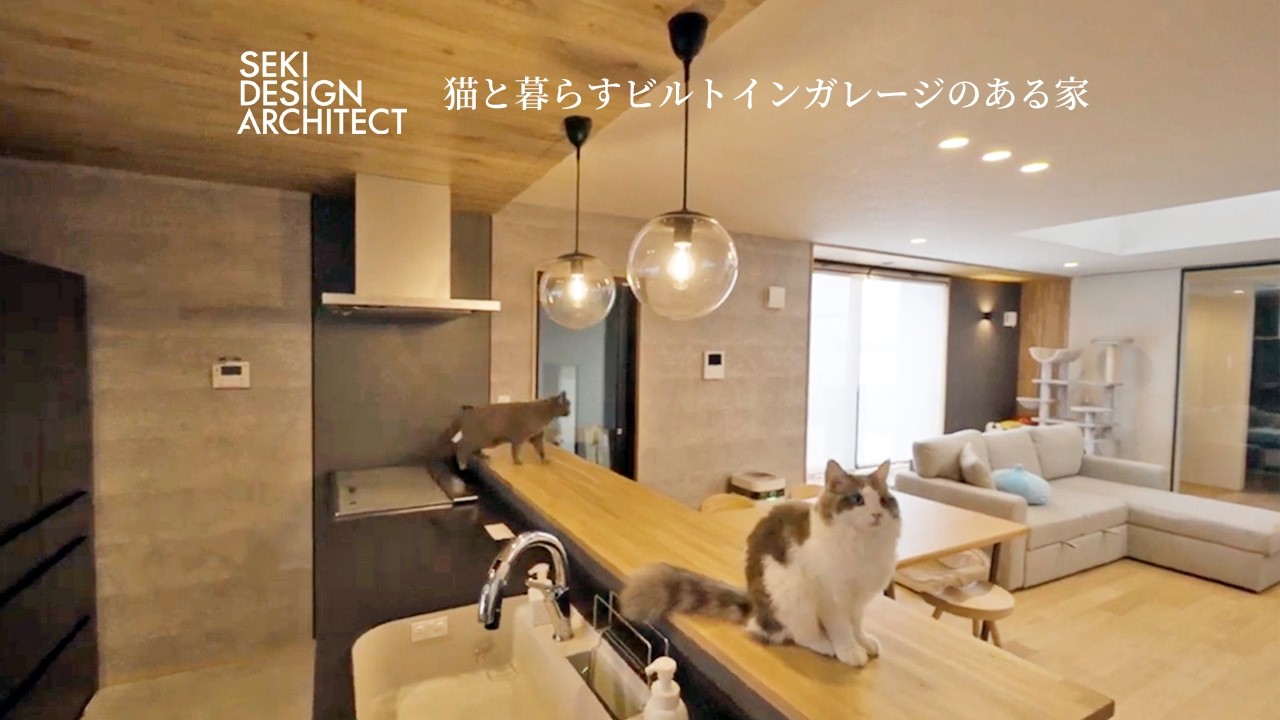 【ルームツアー】猫と暮らすビルトインガレージのある家