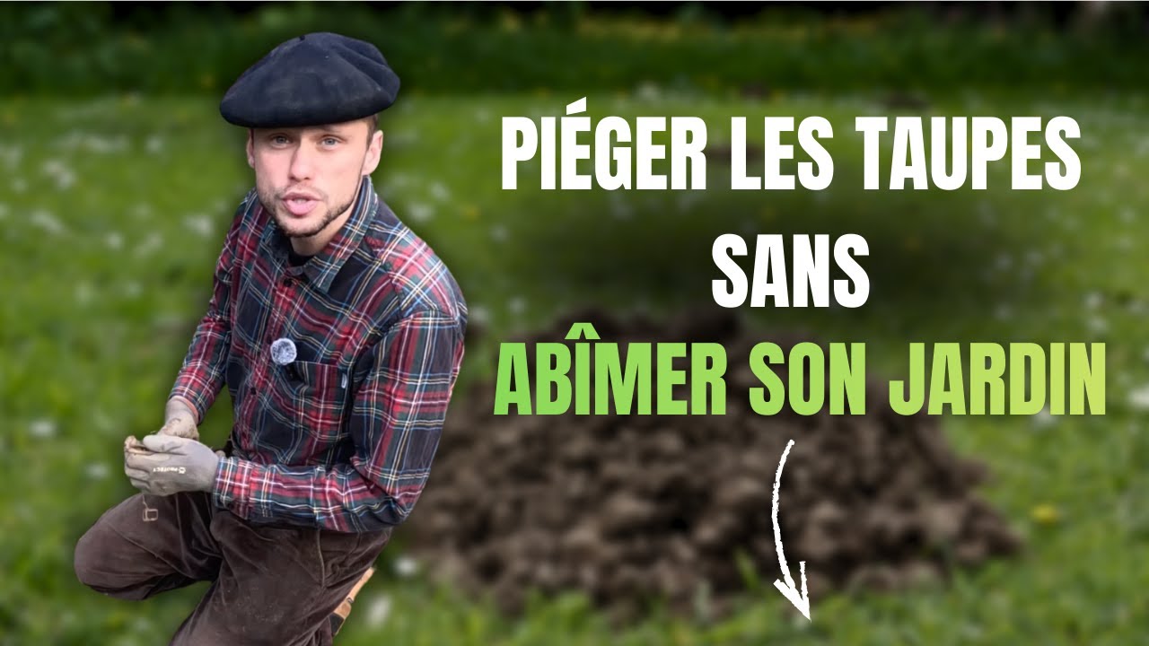 🛠️ Comment piéger les taupes sans abîmer son jardin ? La méthode experte !