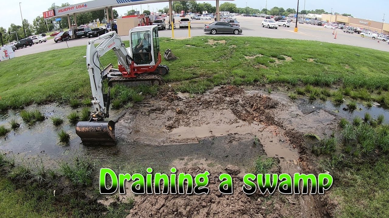 Draining A Swamp