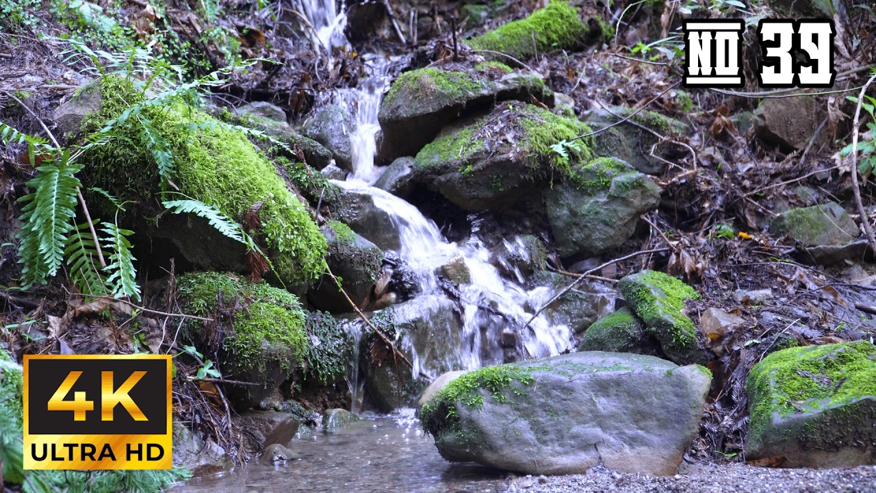 3 Hours of Peaceful Forest Waterfall Sounds 🌿 Relaxing Creek in 4K Ultra HD