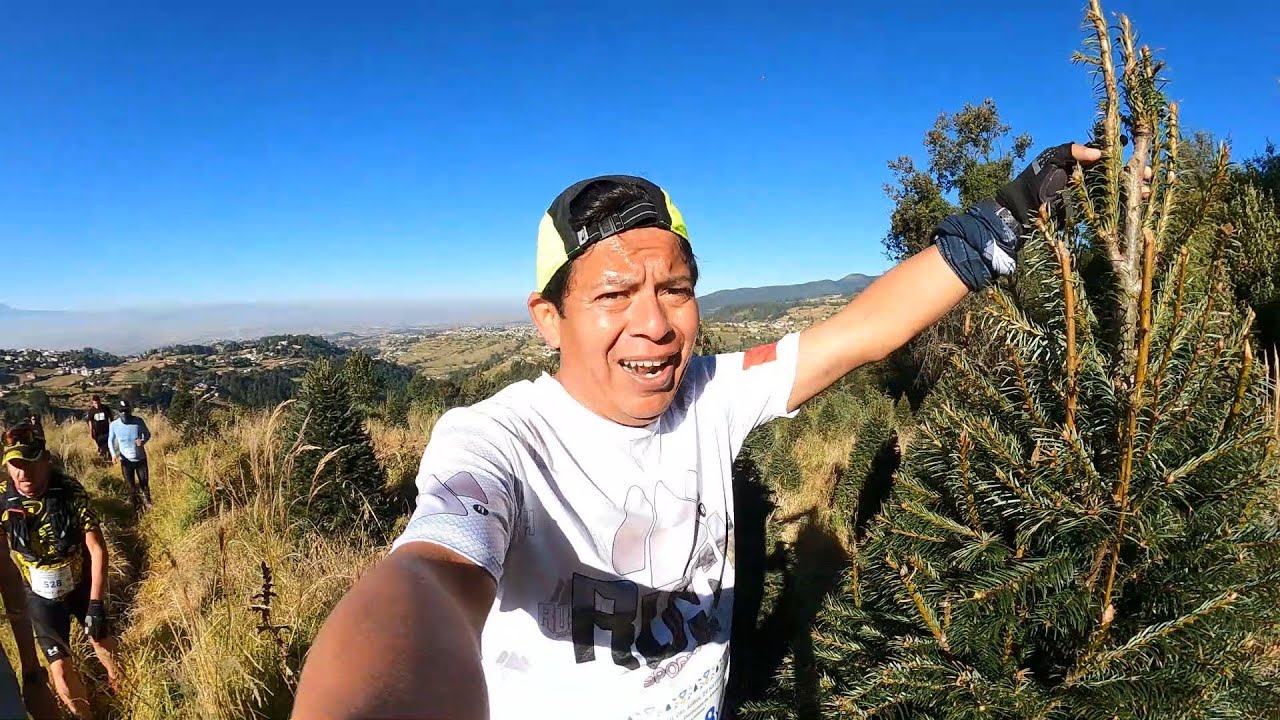TRAIL ÁRBOL DE NAVIDAD - CORRIENDO ENTRE PLANTACIONES DE ÁRBOLES DE NAVIDAD - CONOCE ESTE LUGAR.
