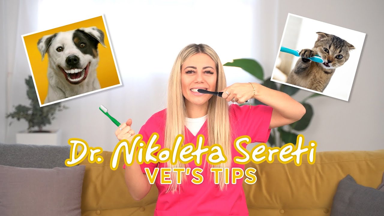 Vet tips - Κατοικίδια και στοματική υγιεινή! Εσύ πόσο καλά φροντίζεις το κατοικίδιο σου;;;