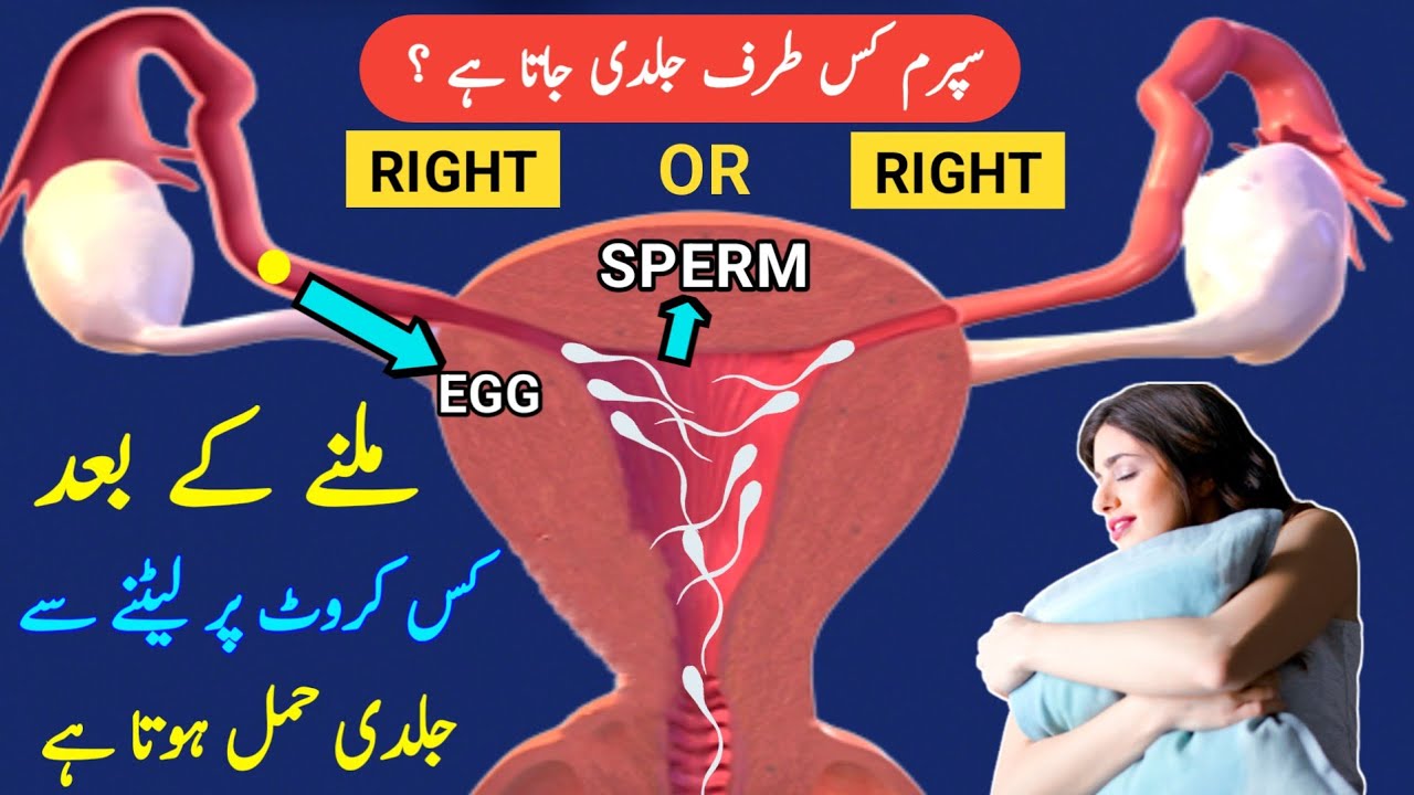 Humbistari K Baad Kis Taraf Laitne se Jaldi Hamal Hota Hai |Tips To Get Pregnant Fast |dr tahir