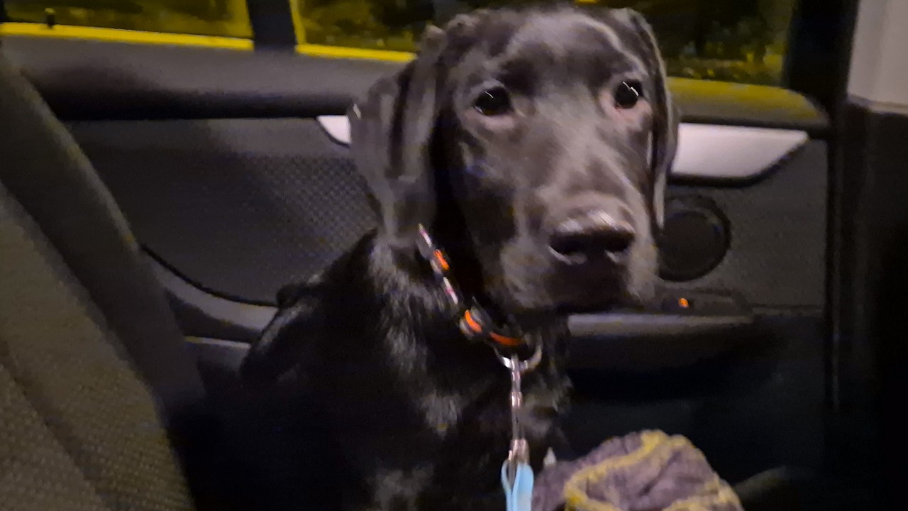 ПОПОЛНЕНИЕ В СЕМЬЕ / ЕДЕМ ЗАБИРАТЬ