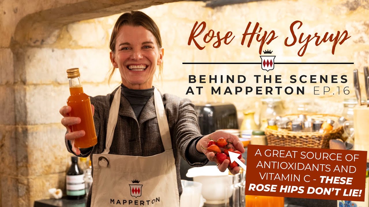 Is this the PERFECT Health Tonic? (How to Make Rose Hip Syrup)