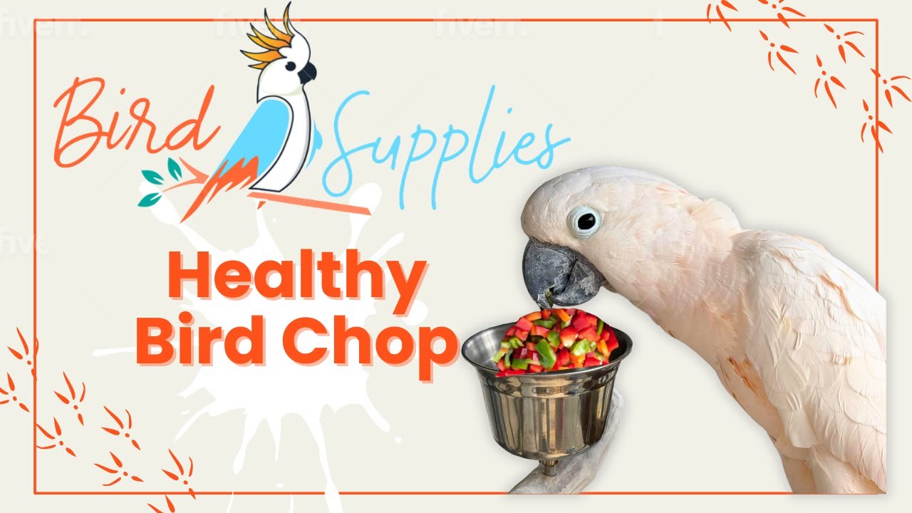 How I Make Bird Chop My Parrots Love Using Avian Naturals
