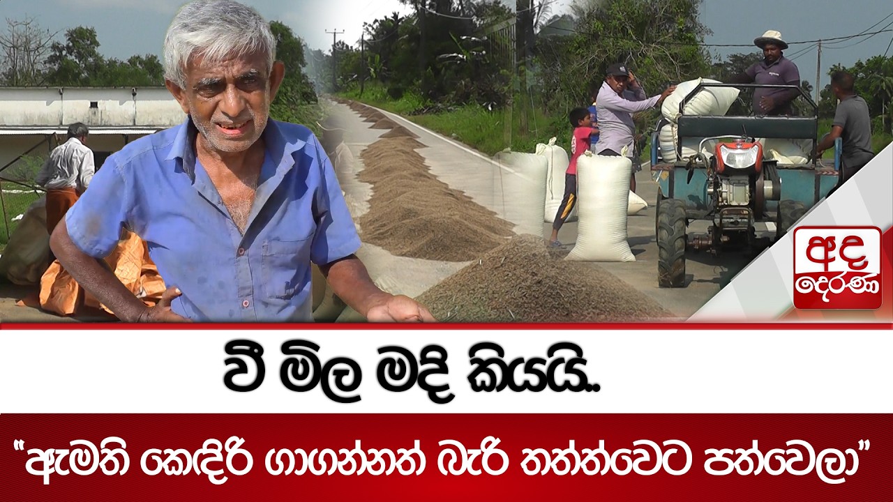 වී මිල මදි කියයි..
