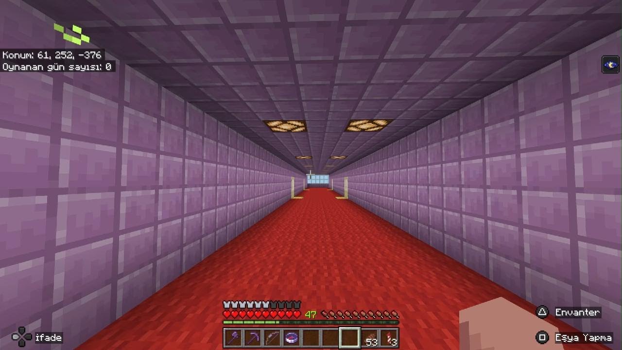 Minecraft Sarayim nasil dostlar