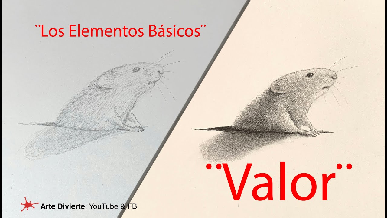 ¿QUÉ ES EL VALOR? (en los elementos básicos del dibujo)