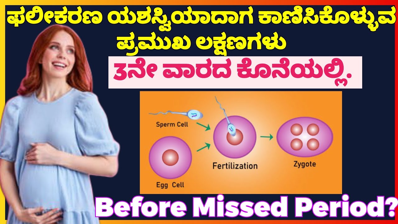 Symptoms of Fertilization | ಫಲೀಕರಣ ಯಶಸ್ವಿಯಾದಾಗ ಕಾಣಿಸಿಕೊಳ್ಳುವ ಪ್ರಮುಖ ಲಕ್ಷಣಗಳು