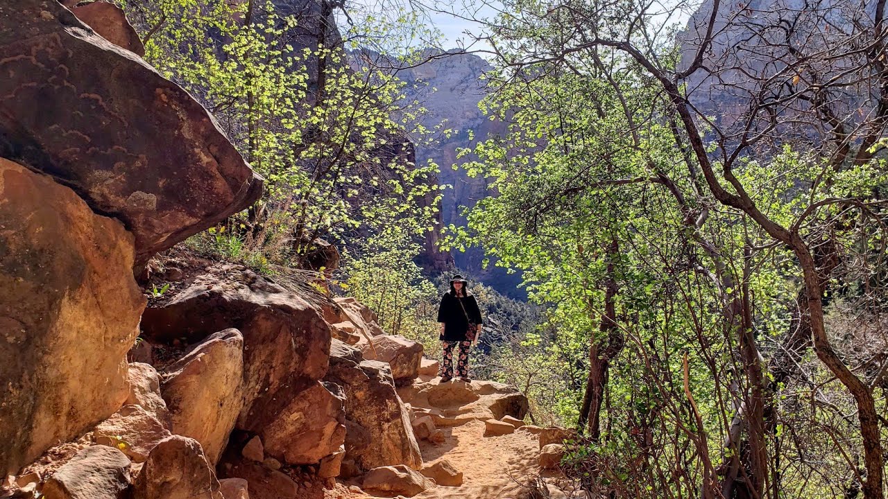 Zion National Park | Ditching my van for a few days of hiking in a canyon.