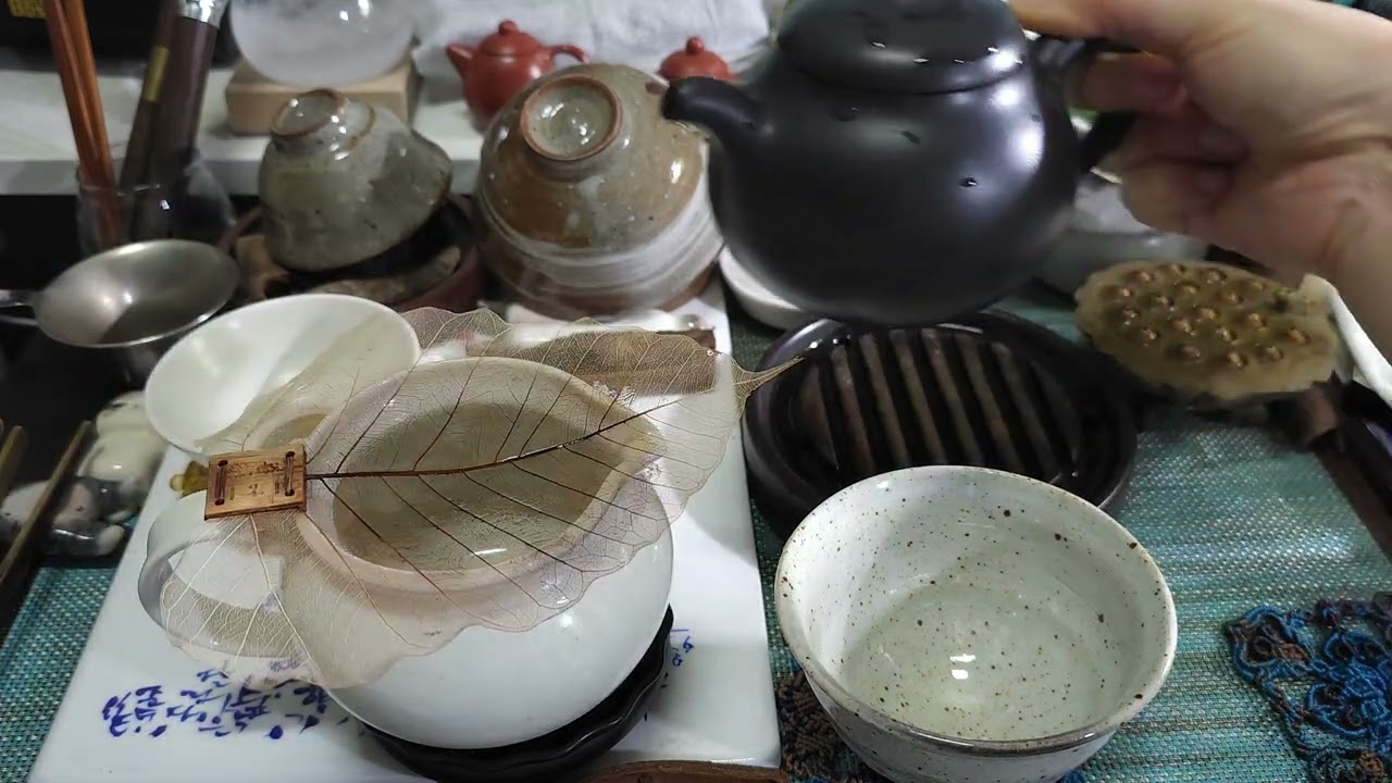 2026.02.25 / 국경야생대엽산차