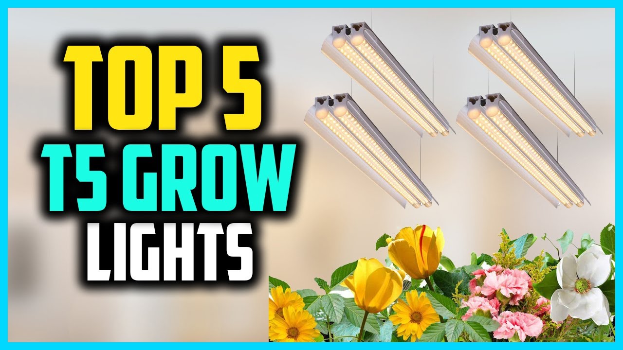 Top 5 Best T5 Grow Lights In 2025 Reviews