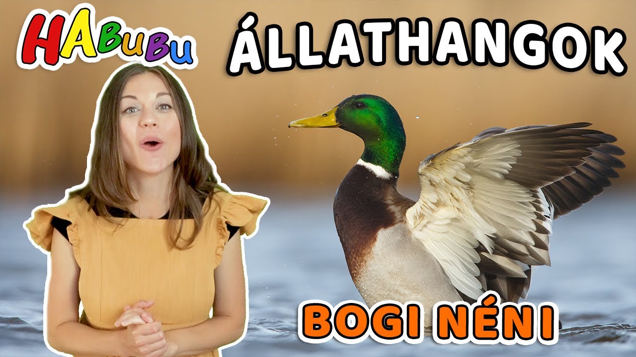 Felismered a Hangot? Melyik állat hangja ez? I Állathangok Bogi Nénivel