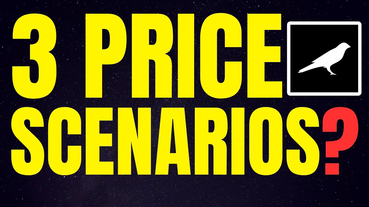 Kusama: 3 Price Scenarios I'm Thinking About and My Perspective on the Kusama KSM Price