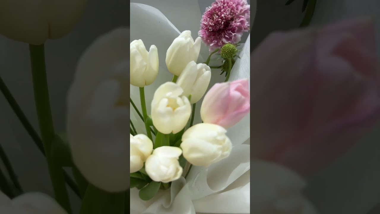 B&oacute; hoa tulip tặng người y&ecirc;u quận Cầu Giấy H&agrave; Nội ! Mua hoa tulip H&agrave; Nội ' family flower  hoa tươi