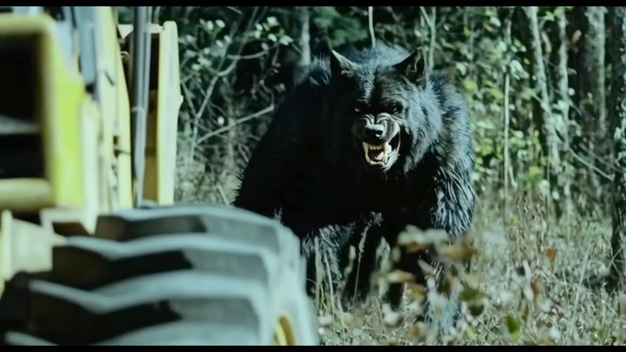 Terrifying New DOGMAN Creature Caught on Camera &mdash; This Footage Shouldn&rsquo;t Exist!