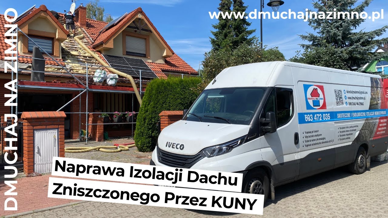 Kuna Domowa -  Naprawa Izolacji Dachu Zniszczonego Przez KUNY  @dmuchajnazimno3191