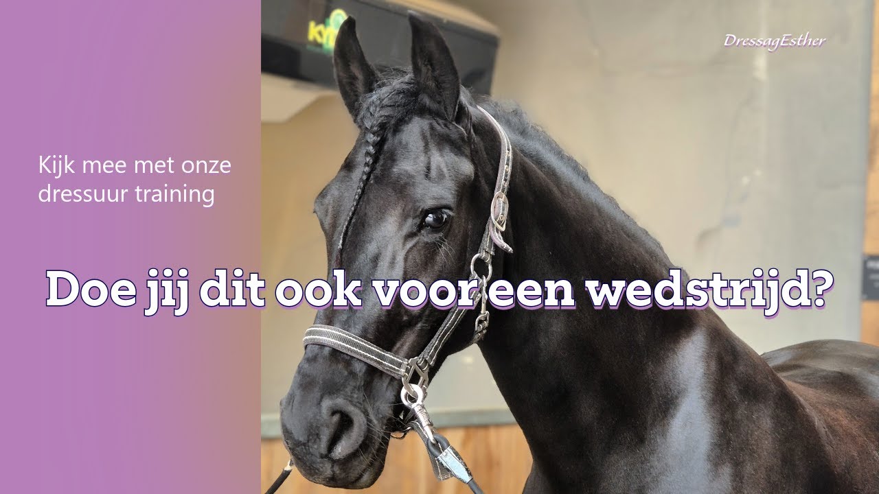 Wat doe je de week voor een wedstrijd? En onze eerste vlog!🐴