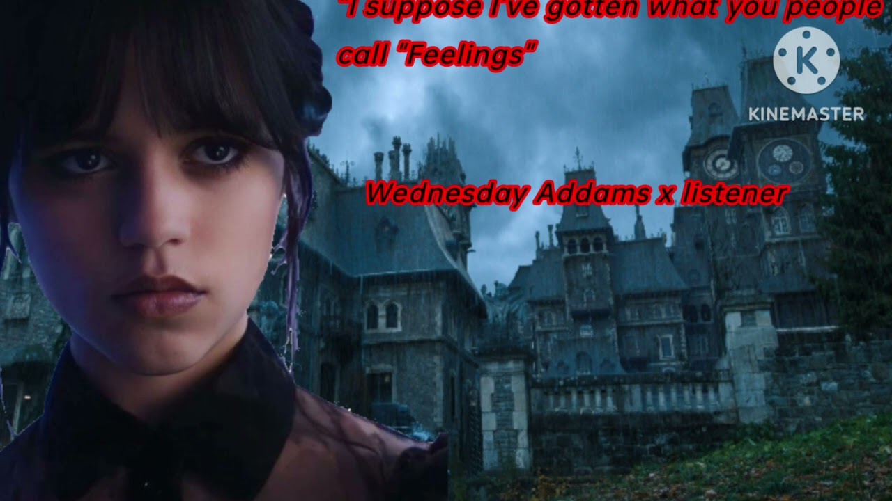 [F4A/F4M/F4F]----[ Feelings ] Wednesday Addams x listener
