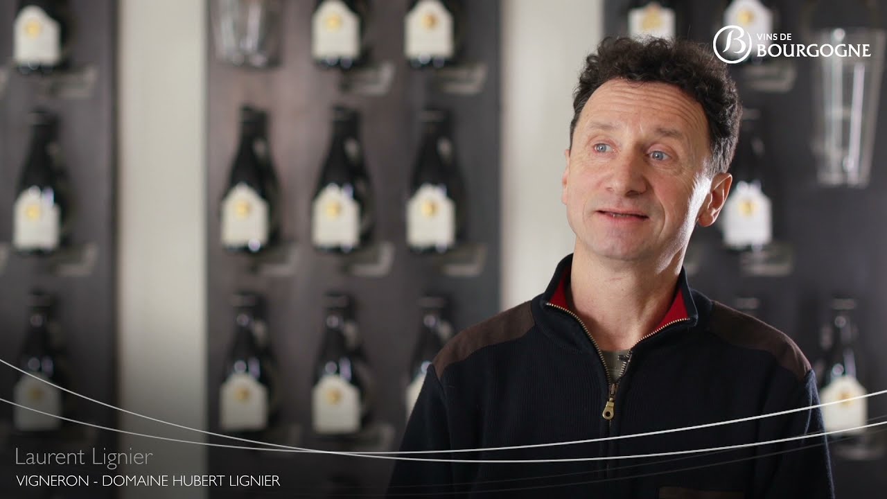 L'appellation Morey Saint Denis vue par Laurent Lignier