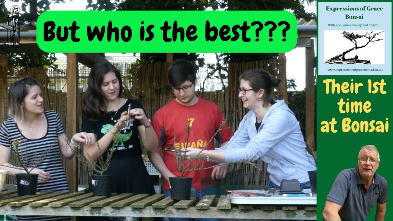 A family Bonsai Challenge - WHO WINS? (Part 1)