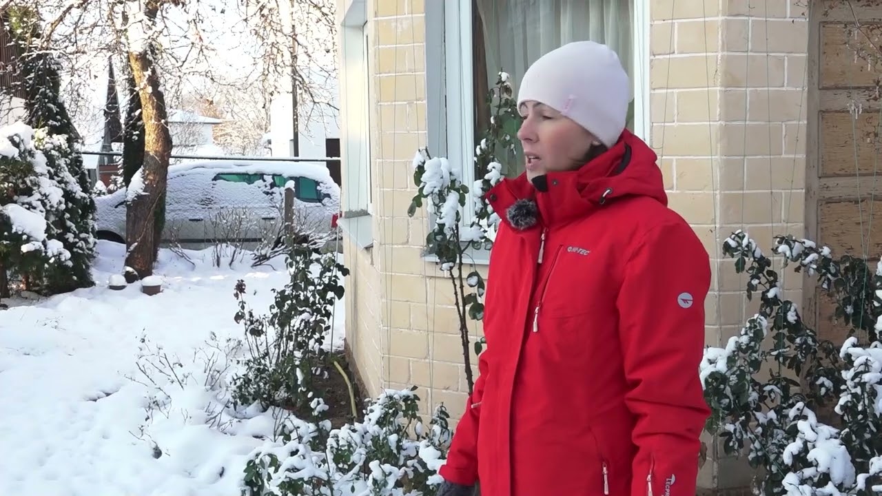 Mājā un sētā: Kā pareizi ieziemot rozes?