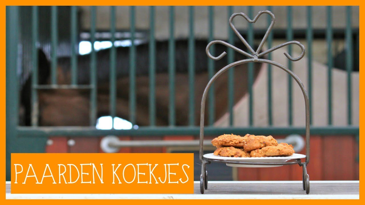 Paardenkoekjes maken | PaardenpraatTV
