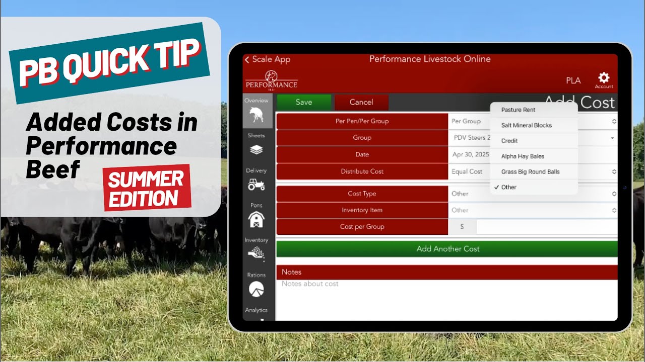 Added Costs Summer Edition: Performance Beef Quick Tip