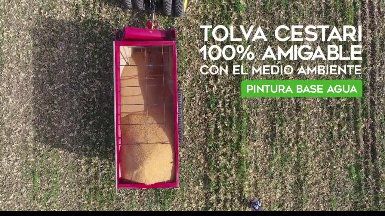 Cestari 100 % Amigable con el Medio Ambiente