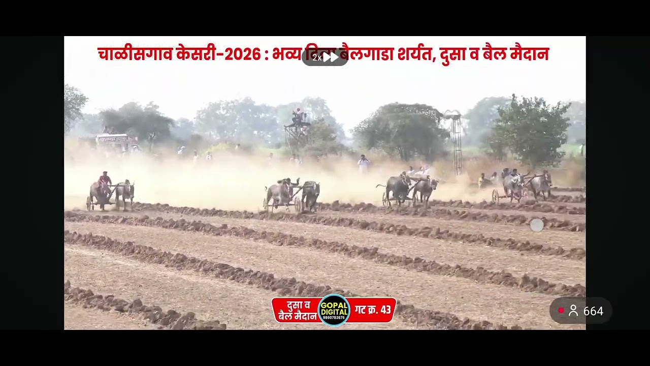 दुस्सा बैल मैदान चाळीसगाव, आदत घेऊन गट पास ❤️#bailgadasharyat #mathur1001 #bakasur #बकासुर #बैलगाडा 