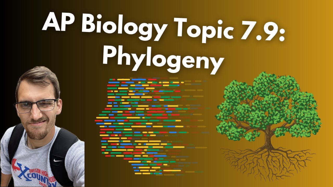 (2019 curriculum) 7.9 Phylogeny - AP Biology