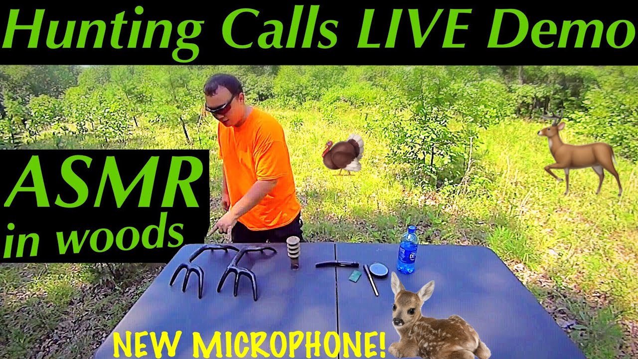 ASMR Man-Made Animal Call Sounds in Nature