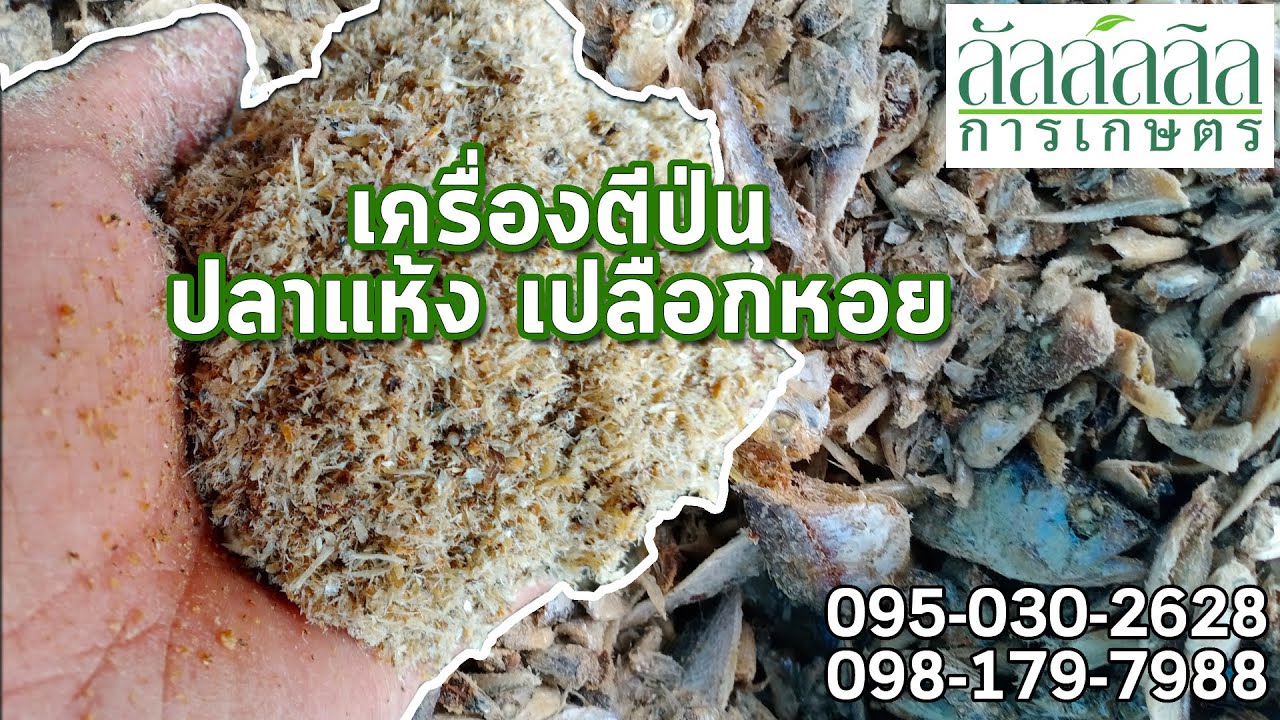 เครื่องตีป่นปลาแห้ง เปลือกหอย ลัลล์ลลิล์ 0926862083