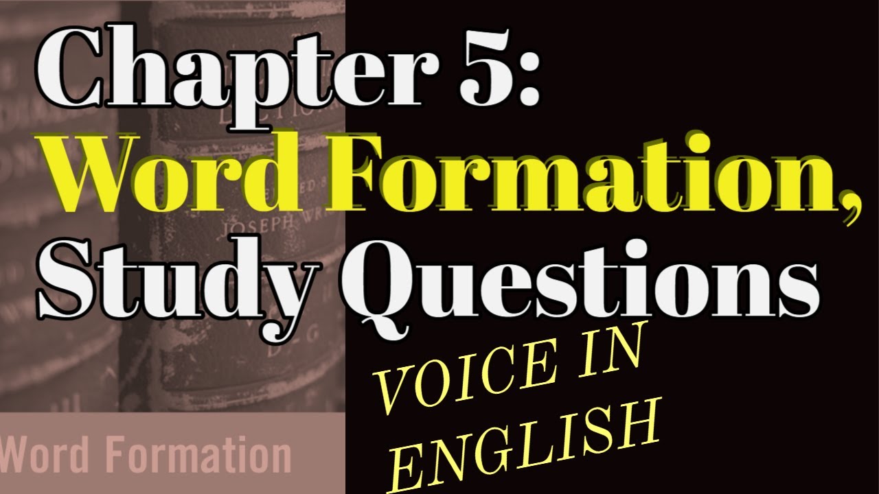 Solved and Explained Study Questions | Chapter 5 | Word Formation | The Study of Language | ENGLISH