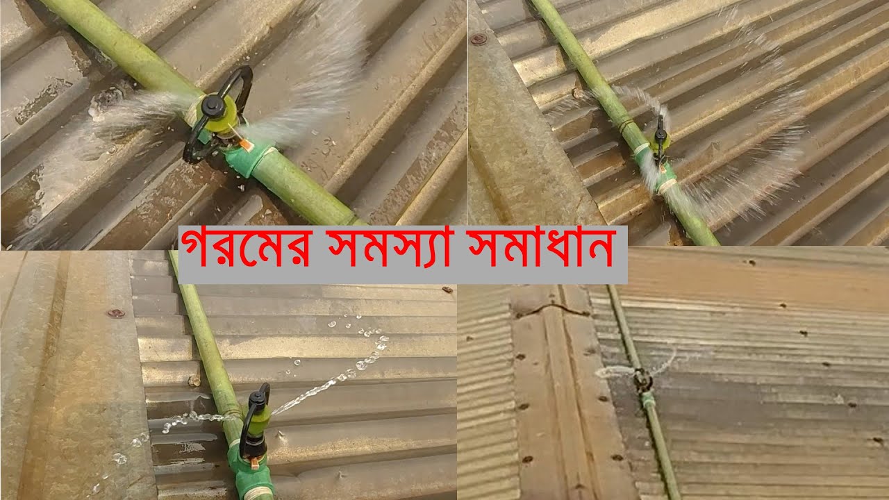 পোল্ট্রি ফারমের গরমের সমস্যা সমাধান (01715828031) Solve the heating problem of poultry farm[part-1]