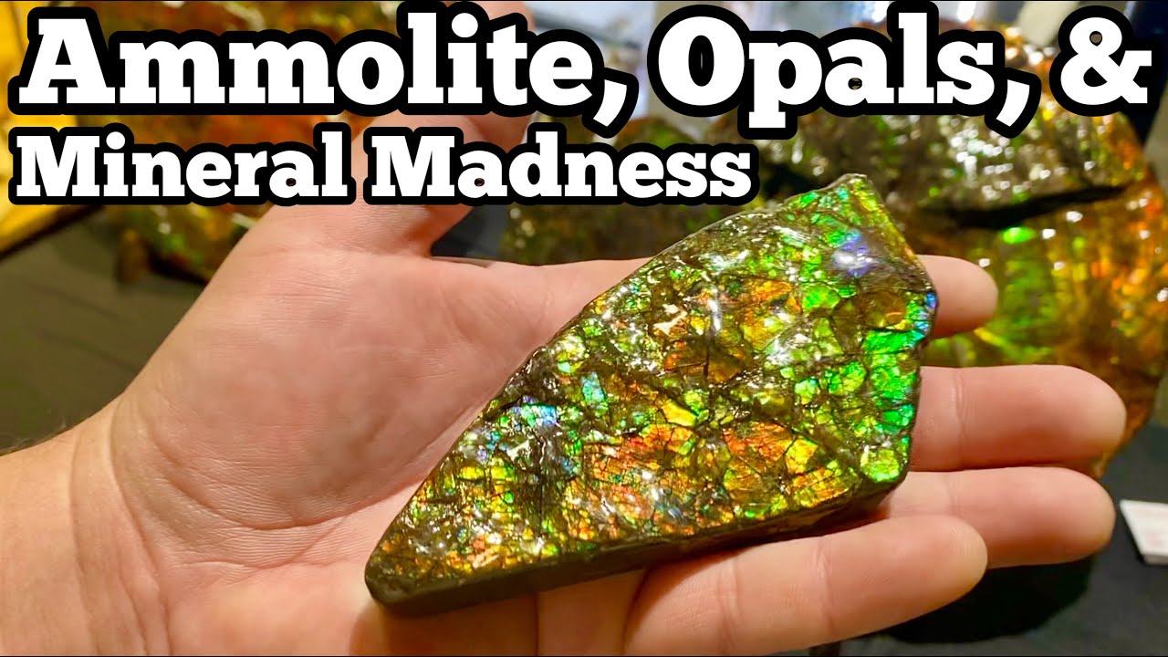 Ammolite, Virgin Valley Opal, & Mineral Madness at the Denver Gem and Mineral Show 2023