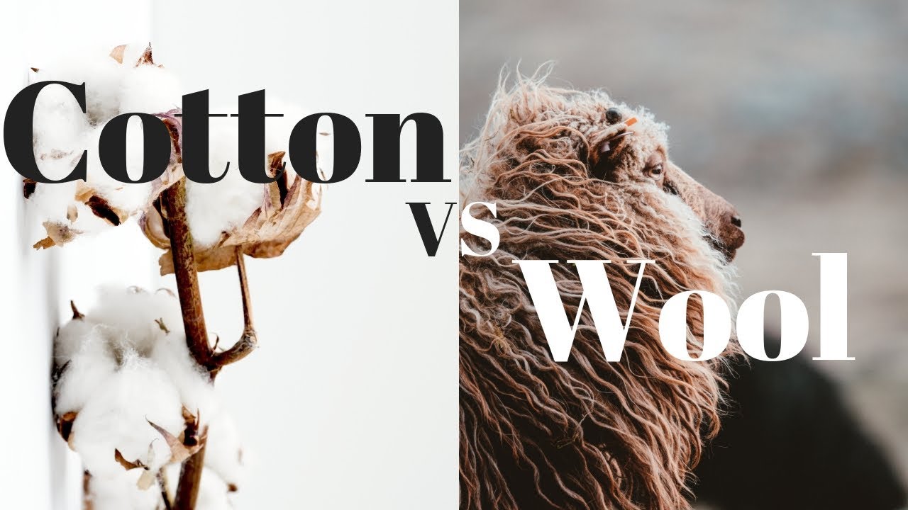 Cotton vs. Wool
