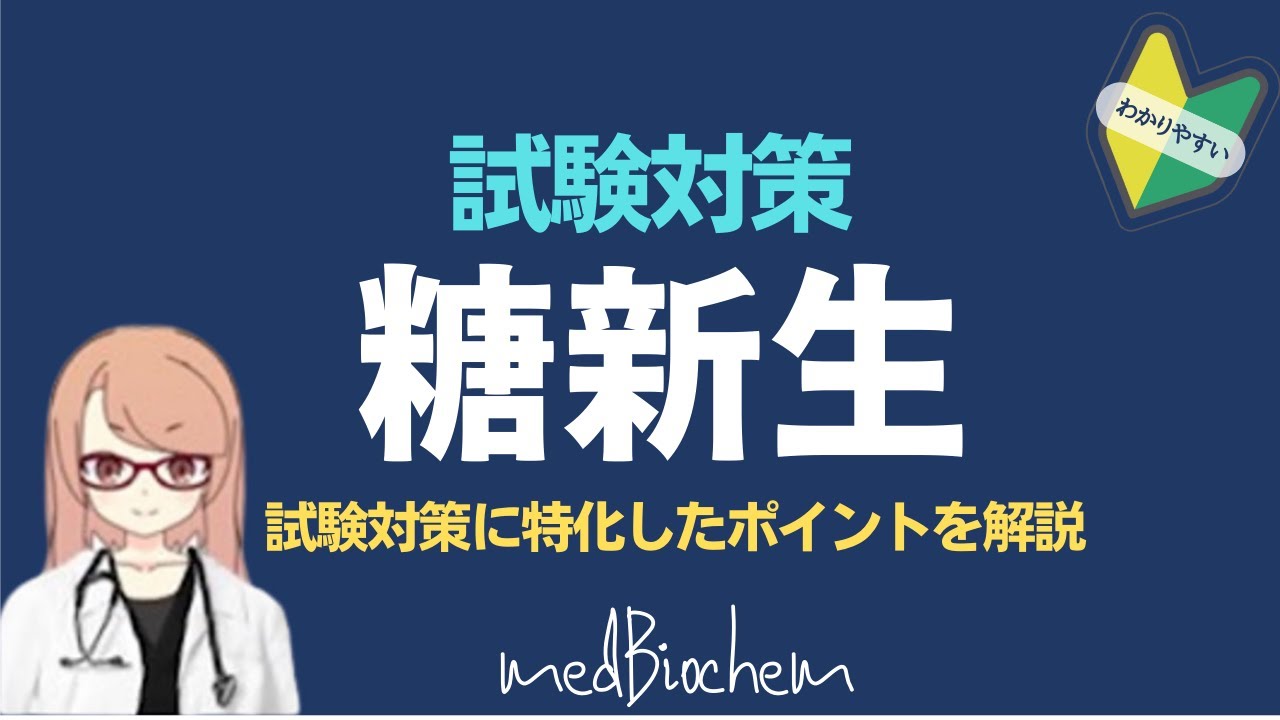 糖代謝④-1　糖新生：テストで出る難解ポイントを解説