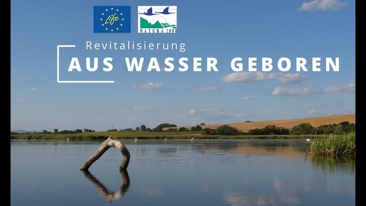 Aus Wasser Geboren