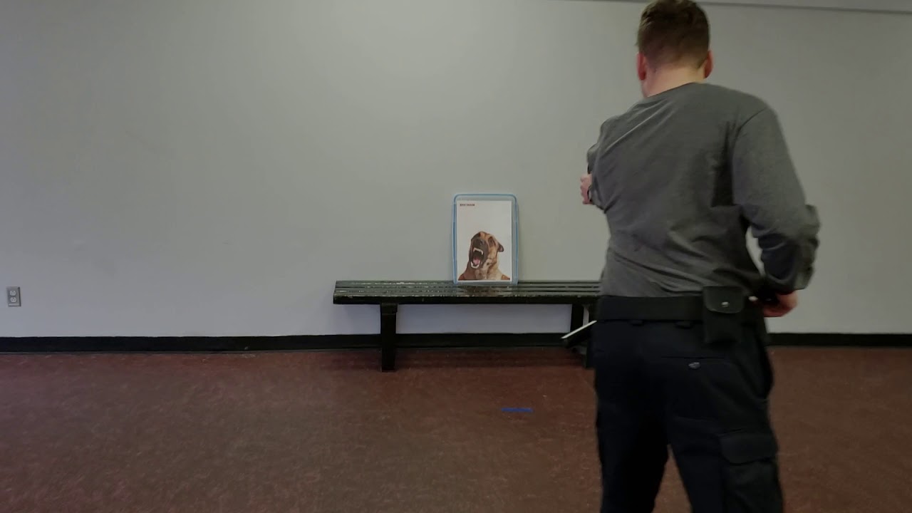 Kontinuum Aérosol capsique  - Défense contre un chien agressif