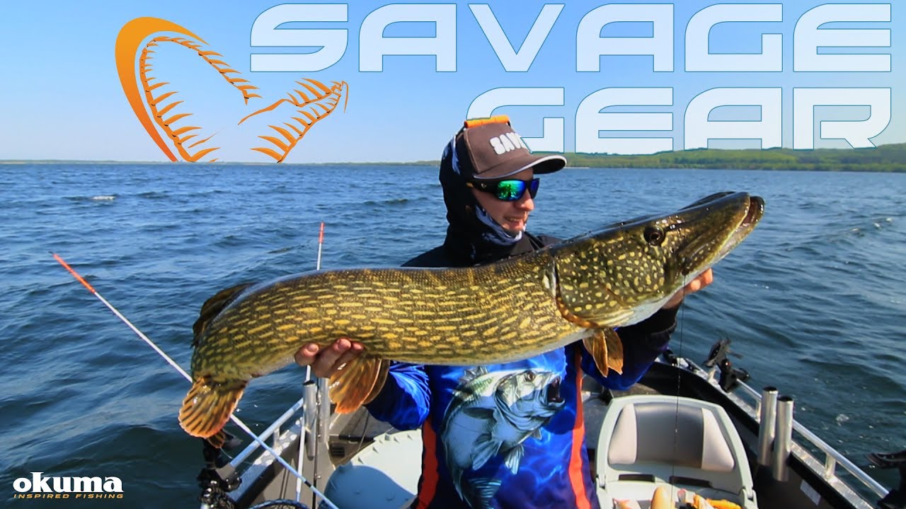 Trolling z Savage Gear i Okuma
