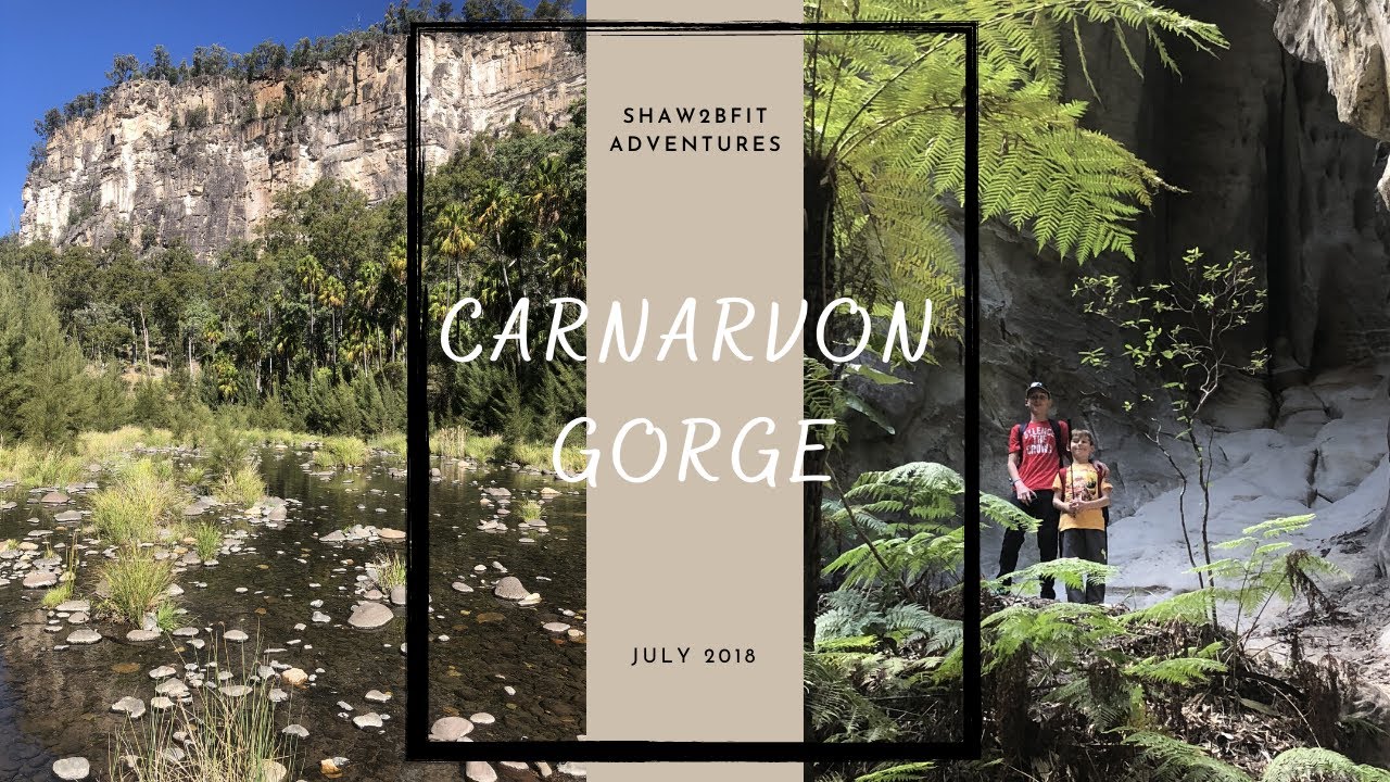 Carnarvon Gorge, Carnarvon National Park, Queensland