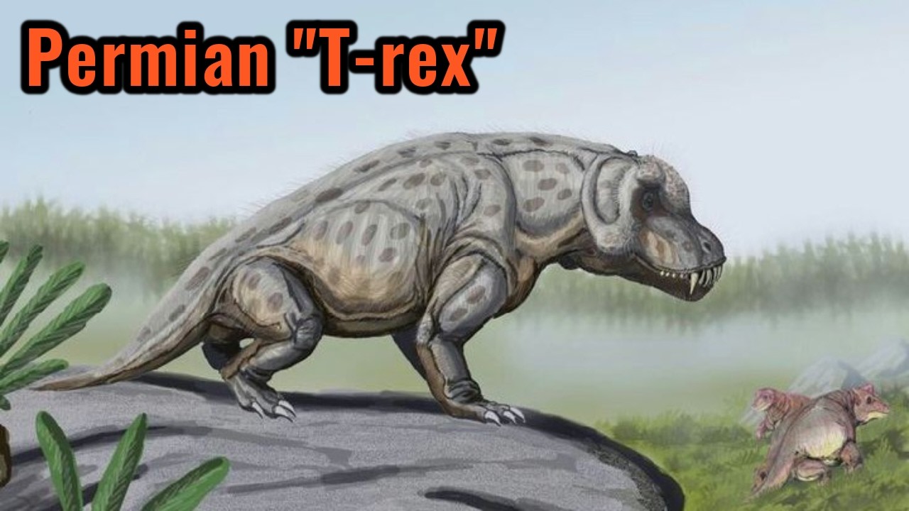 Anteosaurus - The King Of The Middle Permian