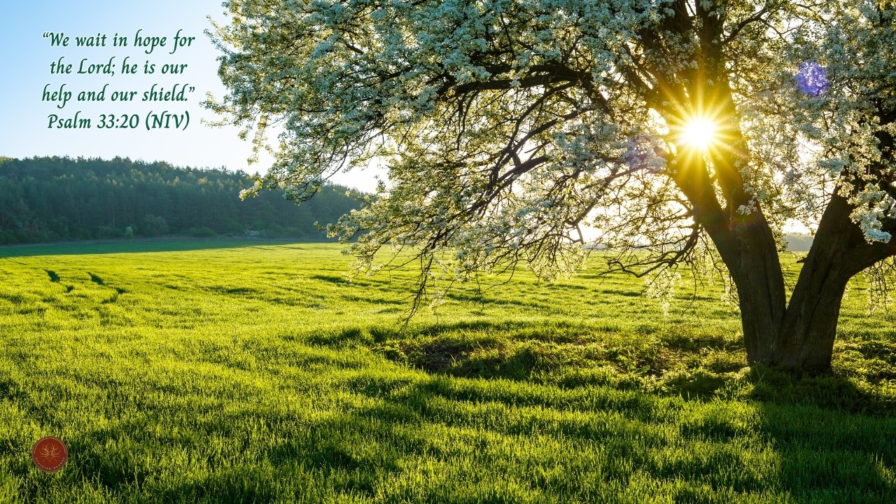 Rest in Hope | Psalm 33:20 NIV | Calm Nature & Soothing Instrumental