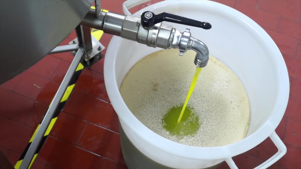 Laudemio Olive Oil   Fattoria di Maiano (Florence)