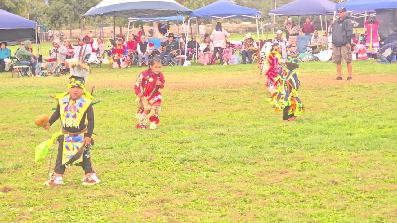 TINY TOT BOYS  - PAINTED SKIES POW WOW - ALBUQUERQUE 2025