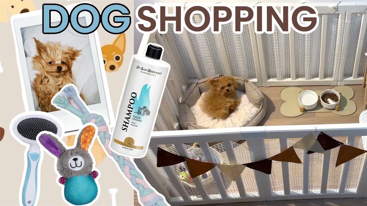 Покупки для щенка мальтипу 🛍️🐕| сколько денег нужно для ухода за собакой 💸 | домик Барни